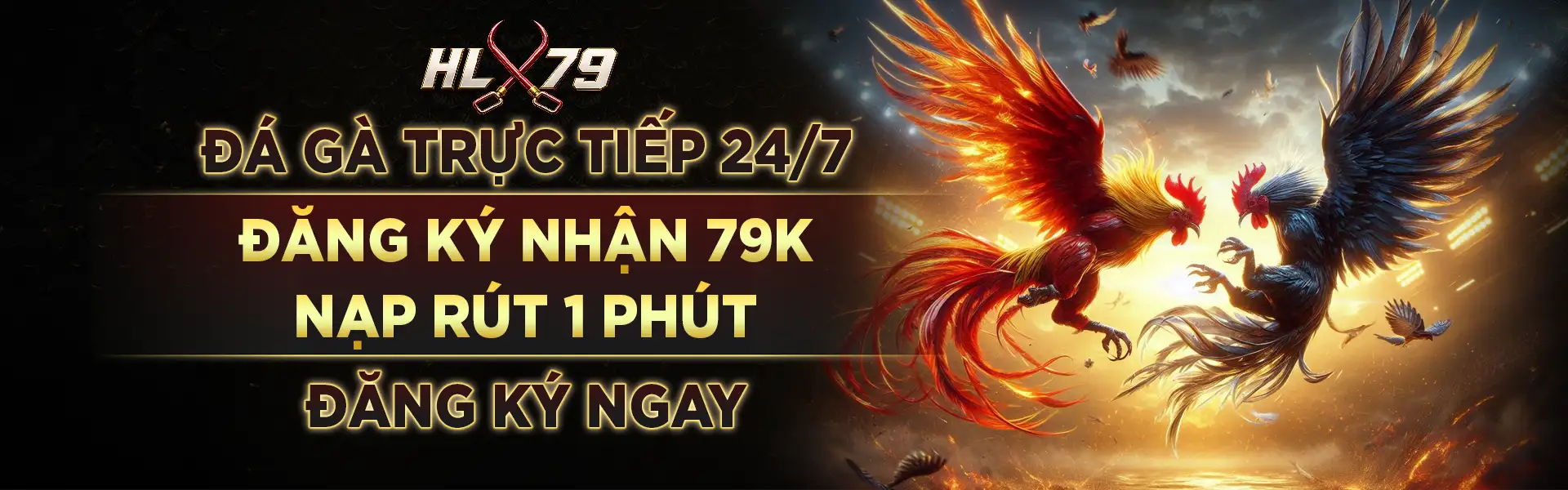 HLX79 đá gà trực tiếp live 24/7