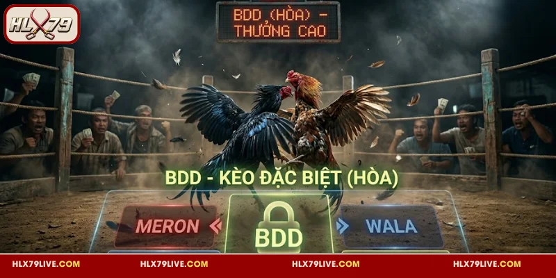 Kèo BDD HLX79 Đá Gà - Tỷ Lệ Ăn Cao Đi Kèm Nhiều Biến Động 2 Giải mã kèo BDD HLX79 đá gà