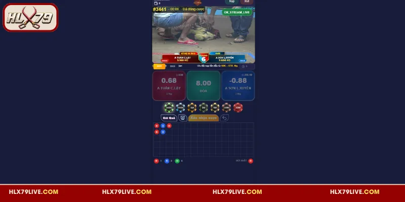 Đá Gà HLX79 - Sảnh Cược Đẳng Cấp, Phát Sóng Trực Tiếp 4K 6 Hướng dẫn cược đá gà HLX79 cho người mới