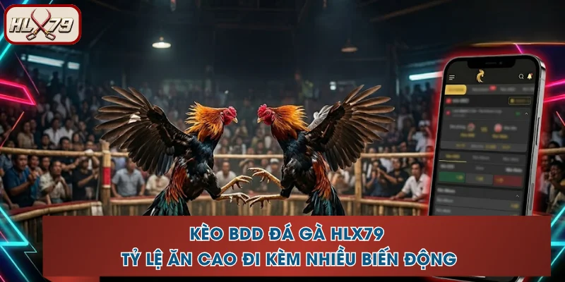Kèo BDD HLX79 Đá Gà - Tỷ Lệ Ăn Cao Đi Kèm Nhiều Biến Động 1 Kèo BDD HLX79 Đá Gà - Tỷ Lệ Ăn Cao Đi Kèm Nhiều Biến Động