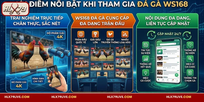 Đá Gà WS168 - Chuyên Mục Giải Trí Hấp Dẫn, Cược Là Mê 3 Khám phá sức hút khi tham gia đá gà tại WS168
