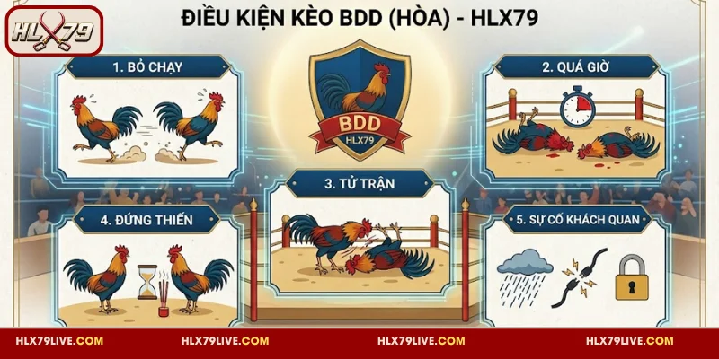 Kèo BDD HLX79 Đá Gà - Tỷ Lệ Ăn Cao Đi Kèm Nhiều Biến Động 3 Quy định áp dụng kết quả BDD trong đá gà